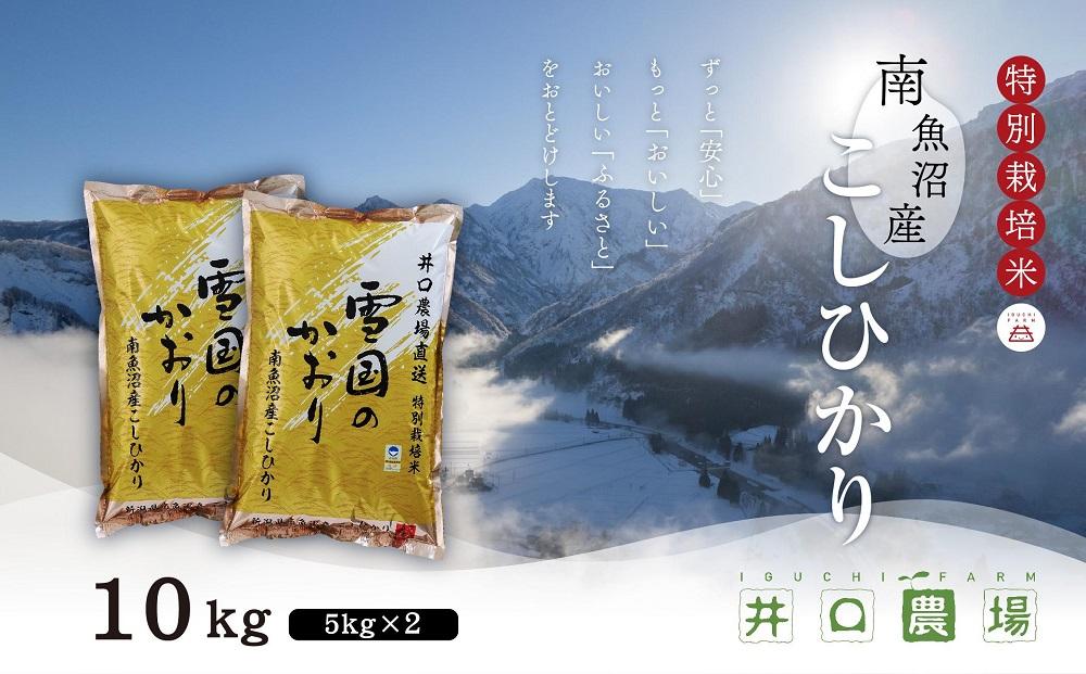 【令和6年産】南魚沼産コシヒカリ10kg 井口農場こだわりの 特別栽培米