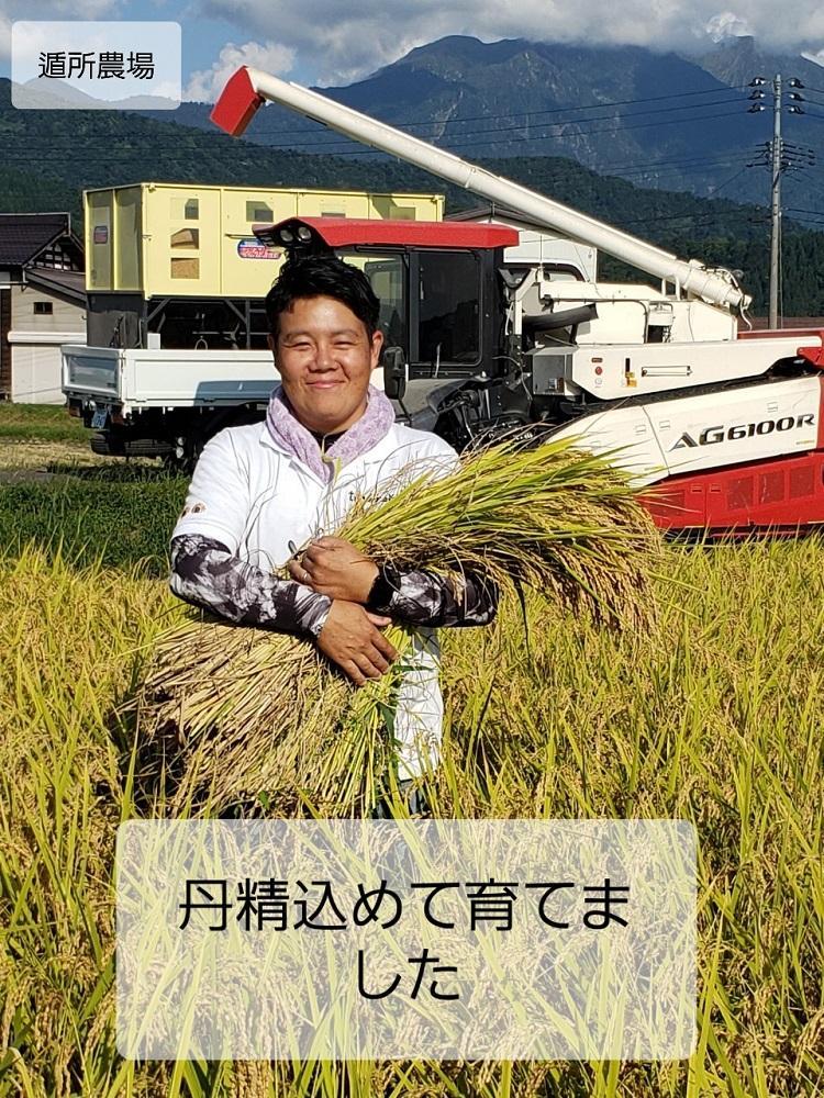 【お米定期便/全１２回】南魚沼産コシヒカリ　　無洗米５ｋｇ