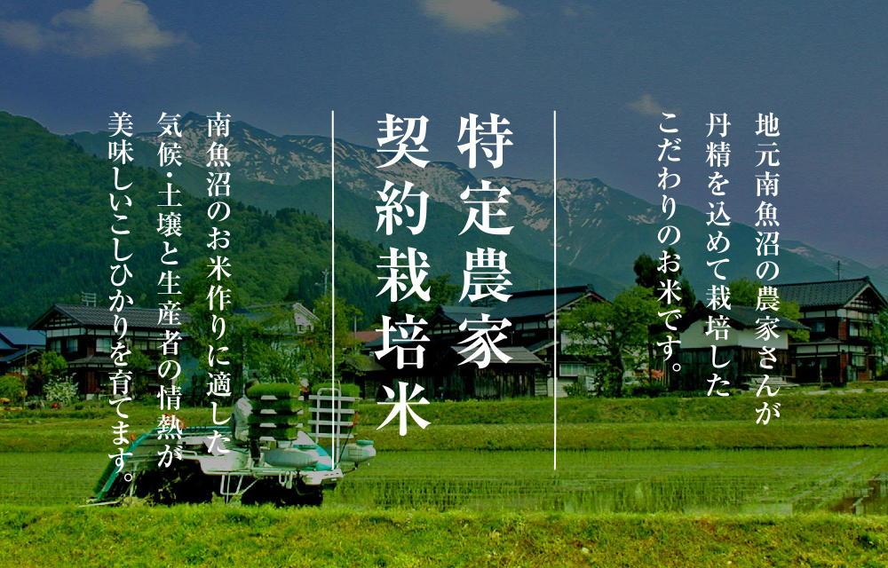 【2025年10月中旬以降発送　先行受付】南魚沼産こしひかり　無洗米（5kg×全12回）