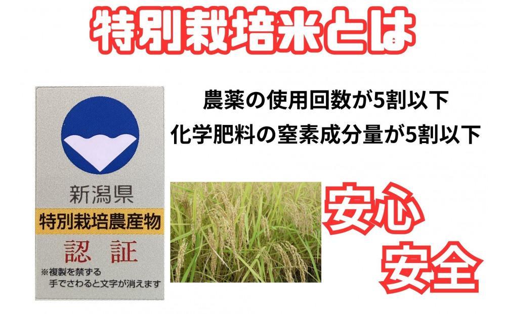 【令和7年産・新米予約・定期便】安心安全の新潟県南魚沼産特別栽培米コシヒカリ　10kg×６か月　新潟県認証