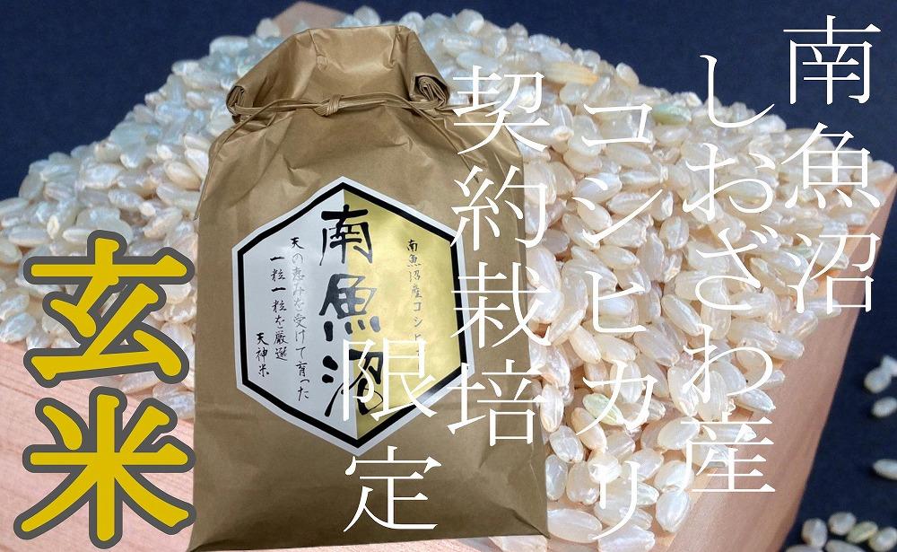 ã什å7幎ç£ããå®æäŸ¿5KgÃ6ã¶æãâçç±³â çç£è
éå® åéæ²Œããããç£ã³ã·ãã«ãªãå®æäŸ¿ éæç±³ ãã©ã³ãç±³ çç±³ ããã²ãã ã³ã·ãã«ãª éæ²Œç£ æ°æœç±³ ç£å°çŽé ãç±³ ç±³ ãã ã³ã¡ ã飯 埡飯 ãã¯ãã