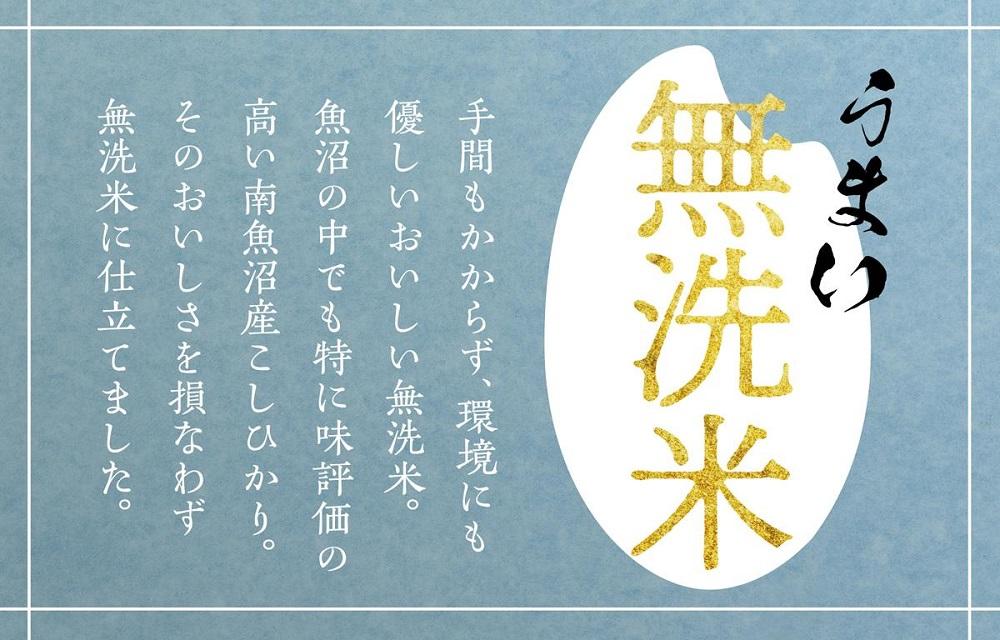 【新米予約 10月発送】南魚沼産こしひかり無洗米5kg