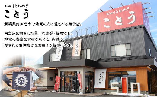 ES294 無地熨斗 お六焼き 六日町あんぱん 三国バウム 和三盆 黒糖 三國バウム 計10個 あんぱん バウムクーヘン 饅頭 和菓子 お菓子 菓子 焼き菓子 お茶請け セット 菓子詰合せ 手土産 詰め合わせ スイーツ ギフト 新潟県 南魚沼市