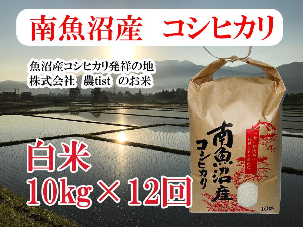 【定期便 南魚沼産】コシヒカリ 白米10kg×12回