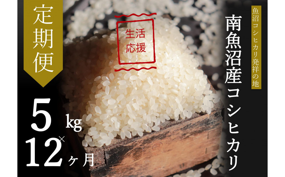 【令和7年産】【定期便・中旬お届け】5kg×12ヶ月　南魚沼産コシヒカリ生活応援
