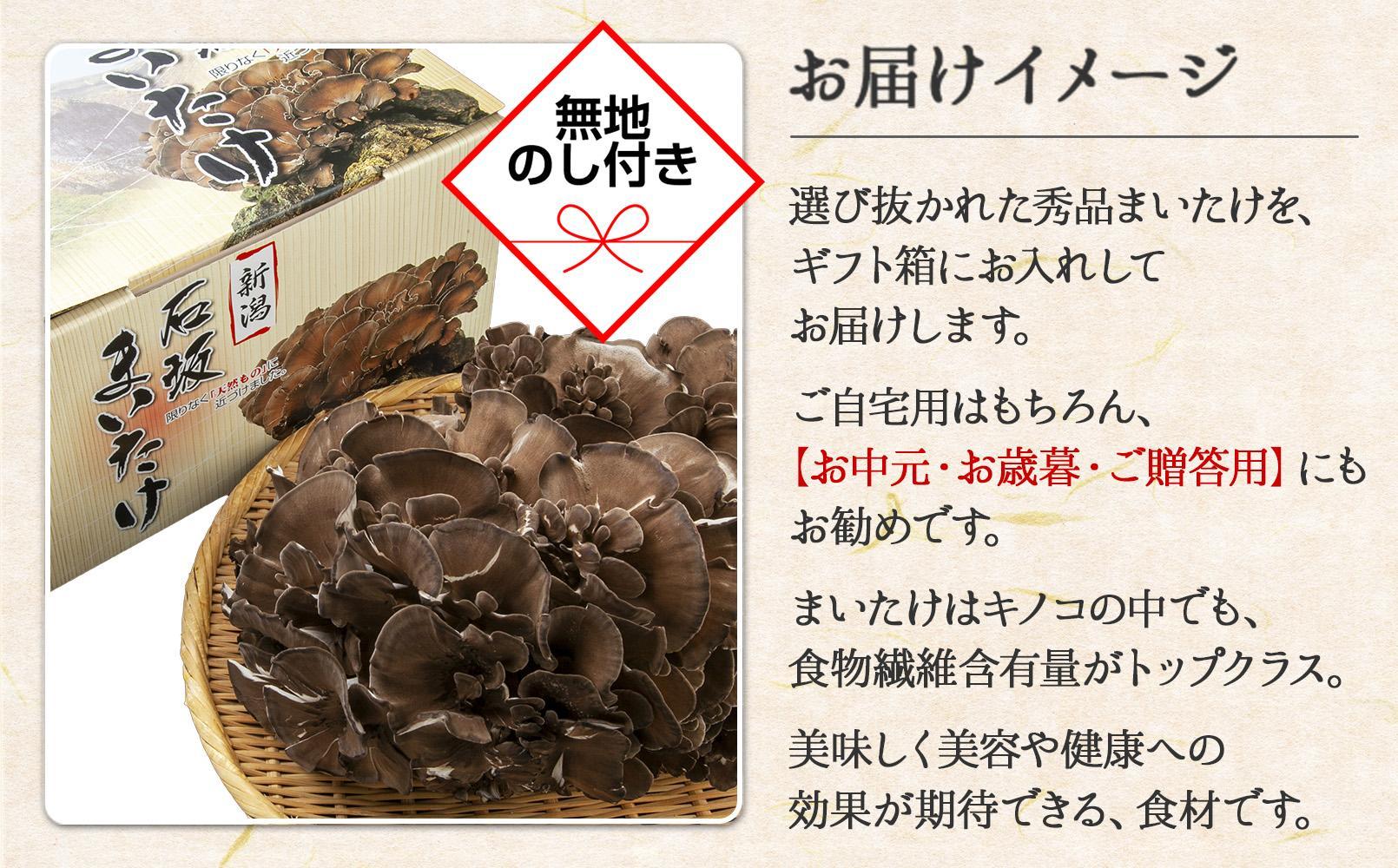 【無地のし】 新潟県 南魚沼産 厳選 国産 石坂 高級 舞茸 まいたけ 産地直送 1kg 贈り物 ギフト お中元 お歳暮 石坂きのこ