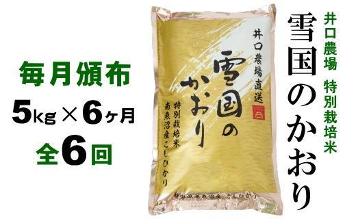 【定期便】５kg×６ヶ月　南魚沼産コシヒカリ 井口農場 こだわりの 特別栽培米