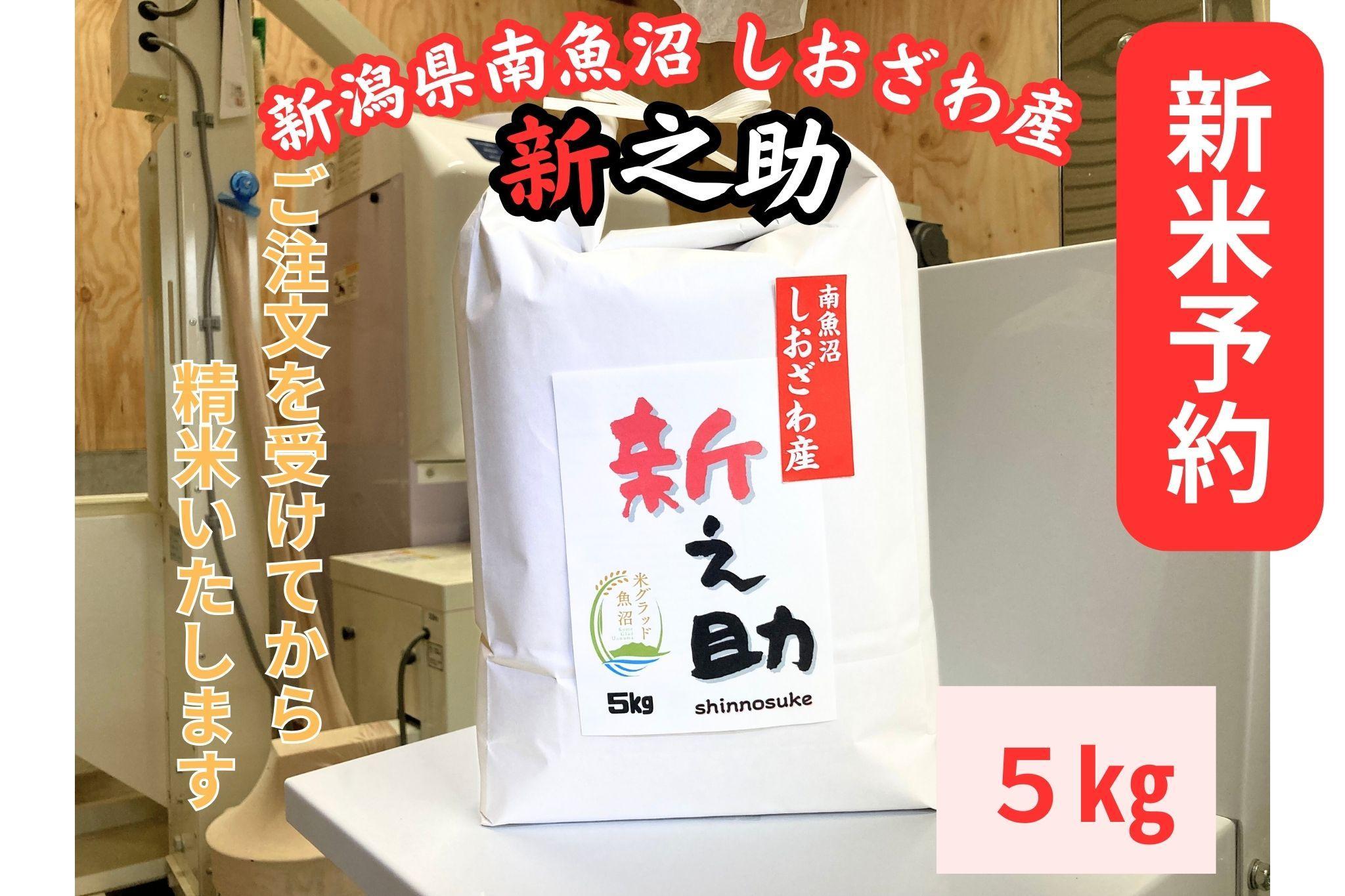【令和8年産・新米予約】新潟県南魚沼産　新之助　5kg　大粒でツヤがあるこれまでにないお米【2026年10月中旬より1ヶ月以内に順次発送予定】