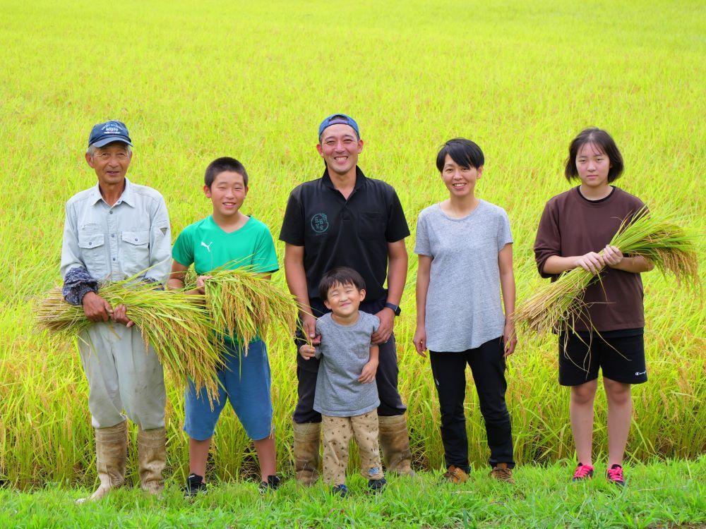 令和6年産　南魚沼産コシヒカリ~化学肥料不使用米~（5kg)