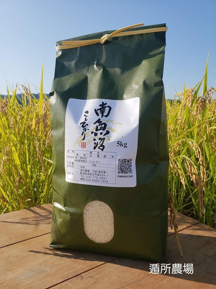 【令和8年産新米予約】【お米定期便/全３回】南魚沼産コシヒカリ　　白米５ｋｇ【定期便 銘柄米 ブランド米 精米 こしひかり コシヒカリ 魚沼産 新潟米 産地直送 お米 米】【2026年10月中旬から1ヶ月以内に順次発送予定】