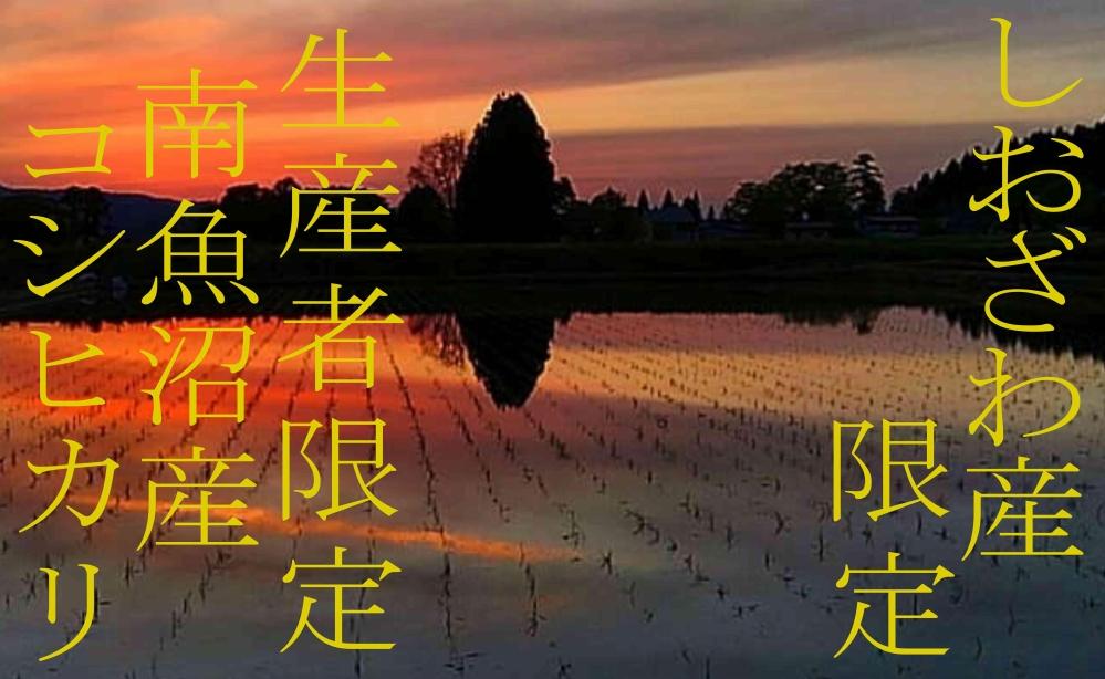【令和7年産】【定期便6kg×12ヶ月】しおざわ産限定 生産者限定 南魚沼産コシヒカリ