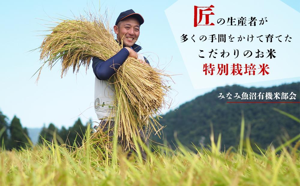 【令和6年産新米予約】特別栽培米南魚沼産こしひかり8割減10kg