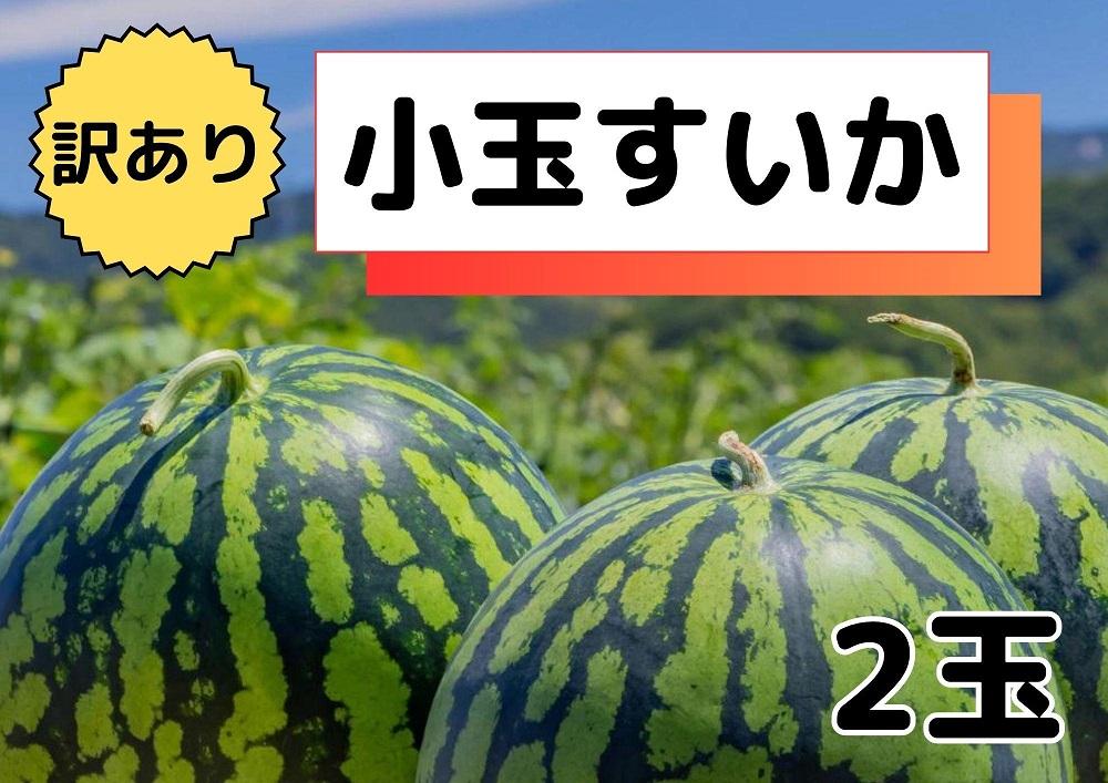 先行予約【わけあり品】八色原すいか小玉２玉【2026年7月中旬発送】【お届け日時指定不可】