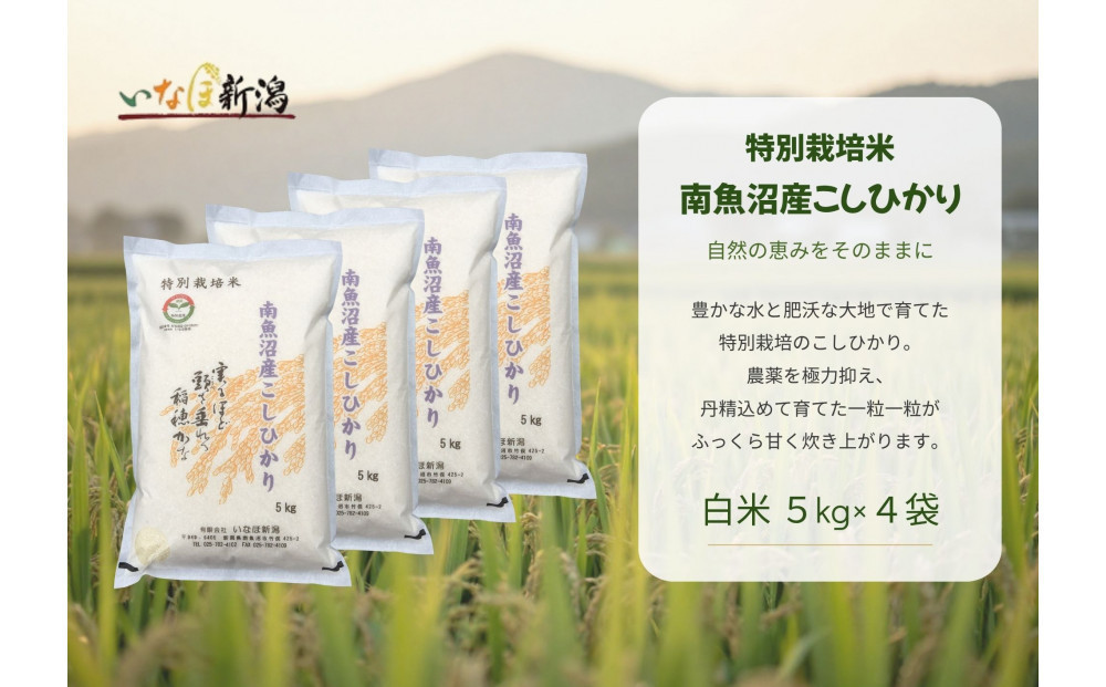 【令和8年産新米予約】 南魚沼産コシヒカリ特別栽培米 白米 20kg(5kg×4)【2026年9月下旬より1ヶ月以内に順次発送予定】