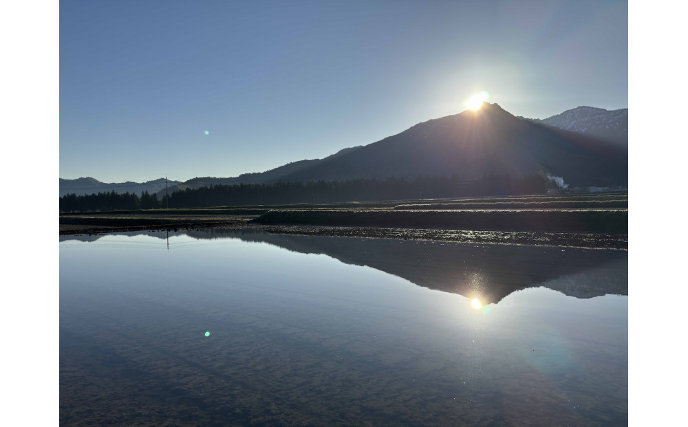 縲蝉サ、蜥7蟷エ逕」縲大漉鬲壽イシ蝪ゥ豐「逕」繧ウ繧キ繝偵き繝ェシ忱usuiシ10kg逋ス邀ウ