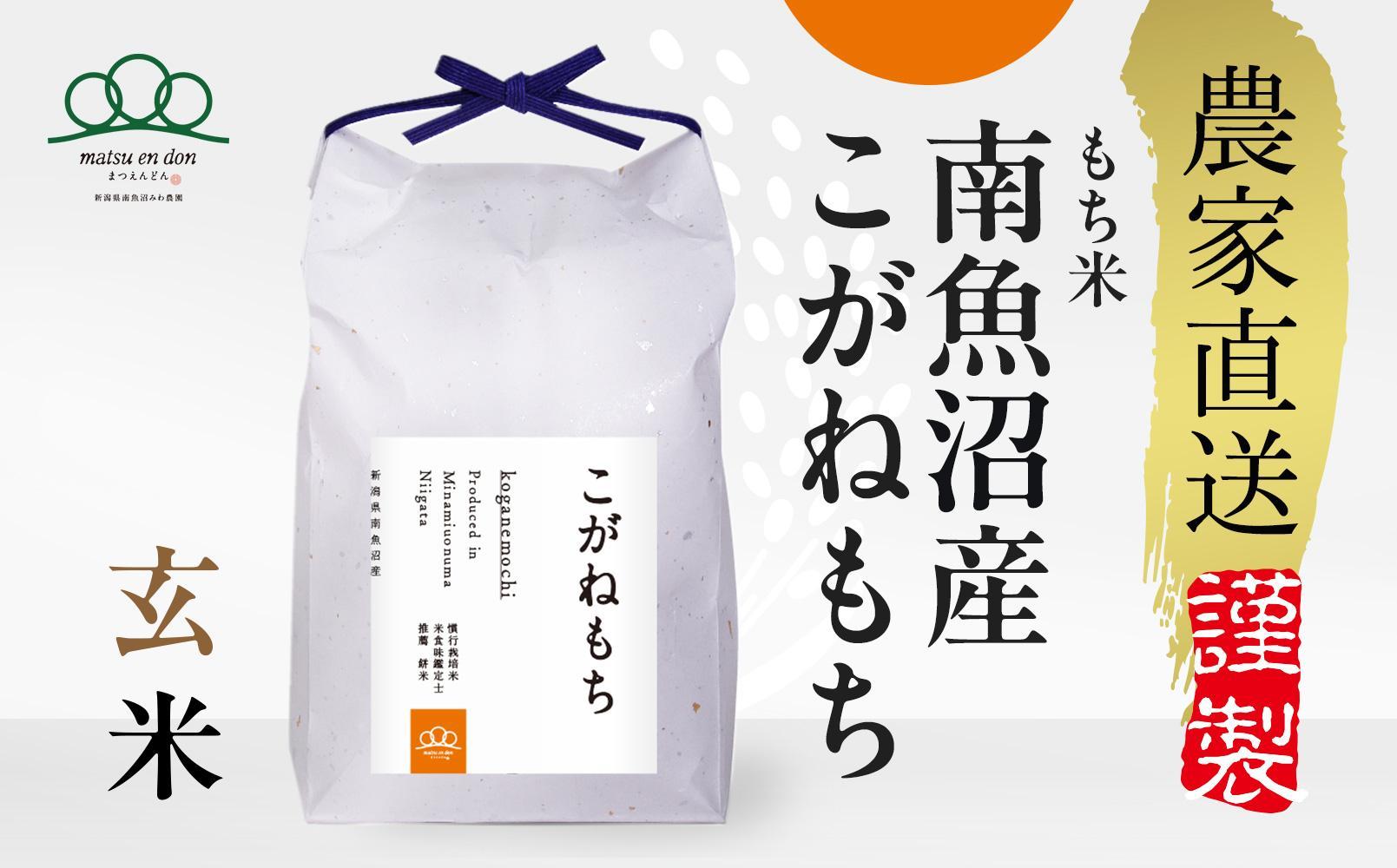 新米予約【令和6年産】もち米玄米　南魚沼産こがねもち 5kg _AG