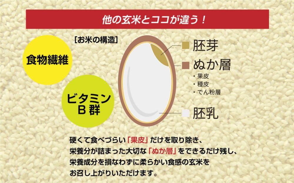 åéæ²Œç£ ã³ã·ãã«ãª æ®éã«çãã çç±³ 2kgÃ4è¢ èš8kg ããã²ãã æ°æœç ç±³ çç±³é£ ã³ã¡ ãã