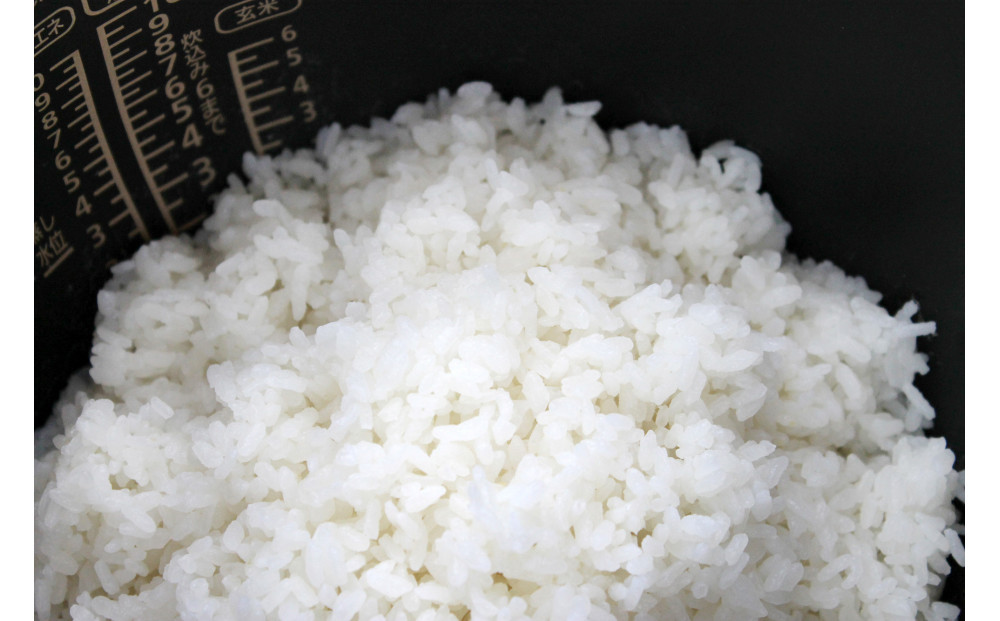 邇邀ウ蜈ィ邊堤イ峨′螂上〒繧九イ縺ィ縺輔§縺ョ鬲疲ウ 100gテ10