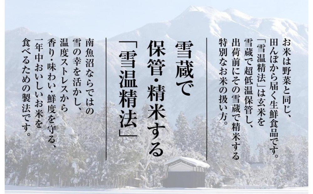 ã什å7幎ç£ãå¥çŽæ œå¹ãåéæ²Œç£æ°ä¹å©6kg