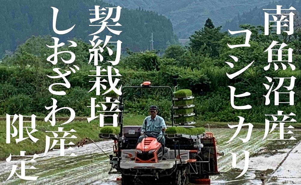 【新米予約・令和6年産】頒布会3ヶ月：精米6Kg 生産地限定 南魚沼しおざわ産コシヒカリ