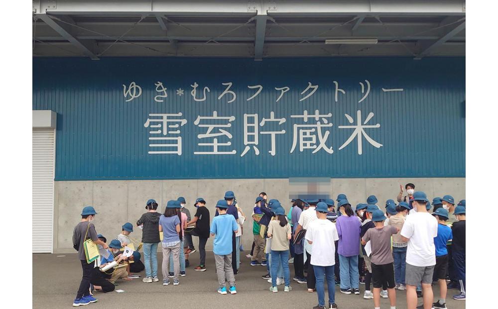 【令和７年産】無洗米【定期便2kg×3回】雪室貯蔵米 南魚沼産コシヒカリ【2025年10月下旬より順次発送予定】