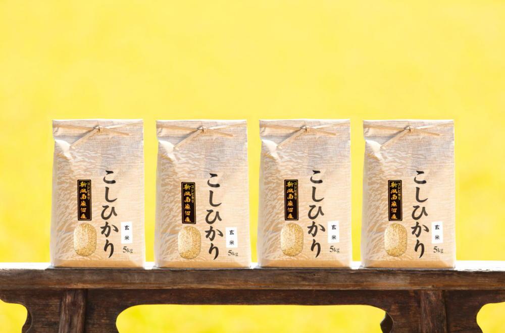 【令和6年産 新米】南魚沼産コシヒカリ（玄米20kg×全9回）新潟県 特A地区の美味しいお米。