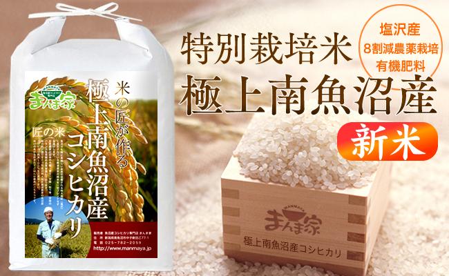 【６年産新米予約】特別栽培米「極上南魚沼産コシヒカリ」（有機肥料、8割減農薬栽培）精米5ｋｇ