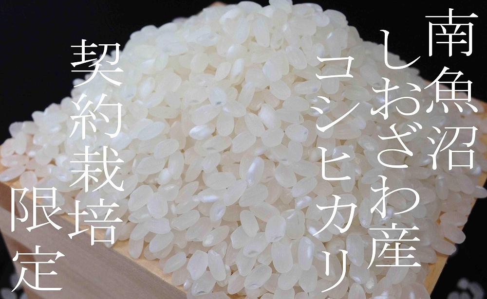 【新米予約・令和6年産】定期便12ヶ月：精米2Kg 契約栽培限定 南魚沼しおざわ産コシヒカリ