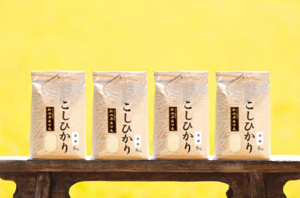 【令和6年産 新米】南魚沼産コシヒカリ（白米20kg×全6回）新潟県 特A地区の美味しいお米。