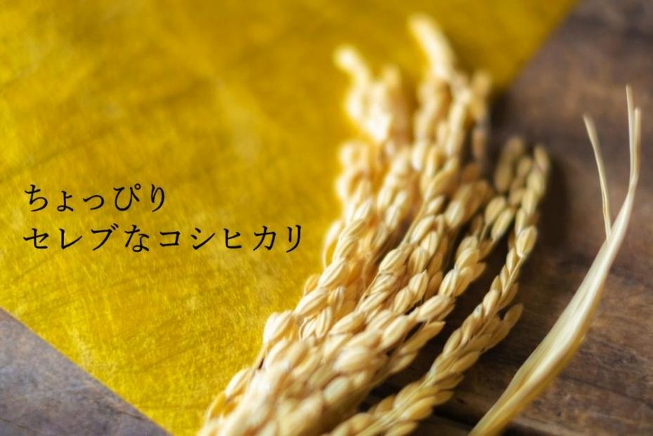 令和6年産新米予約【OZAWA：定期便/2ｋｇ×全3回】内閣総理大臣賞受賞農家がつくる幻の米　特A地区　南魚沼産コシヒカリ