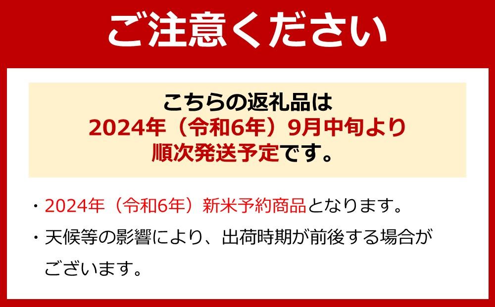 【令和6年産 新米】南魚沼産コシヒカリ（玄米）【5kg】【米 お米 こしひかり 南魚沼 米 玄米 こめ 新潟 米】