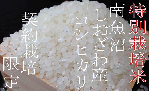 【精米４Kg】特別栽培 生産者限定  南魚沼しおざわ産コシヒカリ