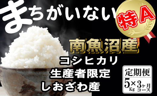 【令和7年産】【定期便】生産者限定 契約栽培  南魚沼しおざわ産コシヒカリ（5Kg×3ヶ月）