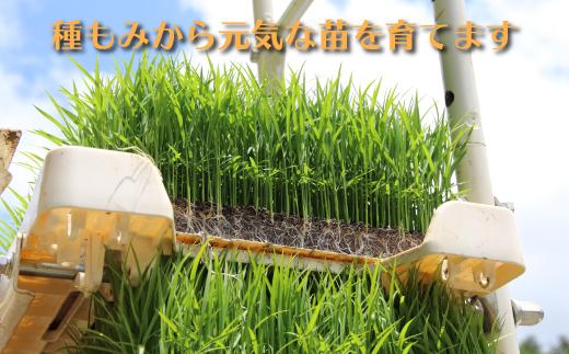 【頒布会】南魚沼産コシヒカリ　八富米　農薬7割減の特別栽培米　白米５ｋｇ×全12回