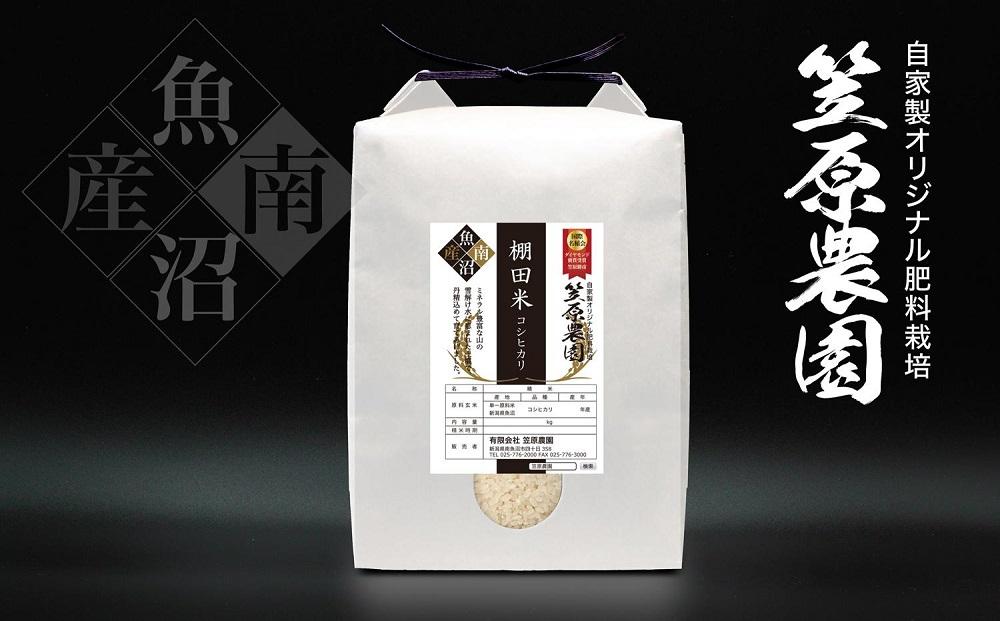 【令和6年産新米予約／令和6年10月上旬より順次発送】南魚沼産 笠原農園 棚田米コシヒカリ 5kg