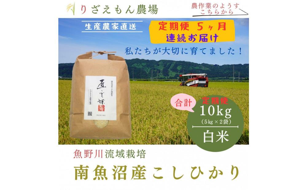 《新米予約受付》【定期便５回×１０kg《合計50kg》】令和６年産　南魚沼産コシヒカリ　白米 １０kg　　＼生産農家直送／