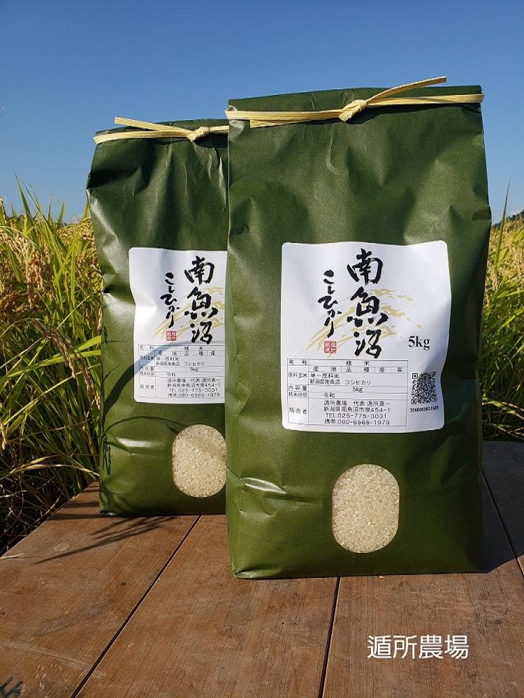 縲蝉サ、蜥8蟷エ逕」譁ー邀ウ莠育エ縲大漉鬲壽イシ逕」繧ウ繧キ繝偵き繝ェ縲逋ス邀ウシ托シ撰ス具スシ茨シ包ス具ステ暦シ抵シ峨宣釜譟邀ウ 繝悶Λ繝ウ繝臥アウ 邊セ邀ウ 縺薙@縺イ縺九j 繧ウ繧キ繝偵き繝ェ 鬲壽イシ逕」 譁ー貎溽アウ 逕」蝨ー逶エ騾 縺顔アウ 邀ウ 縺薙a 繧ウ繝。 縺斐ッ繧薙代2026蟷エ10譛井クュ譌ャ縺九i1繝カ譛井サ・蜀縺ォ鬆谺。逋コ騾∽コ亥ョ壹