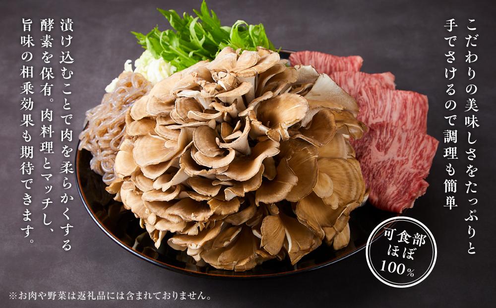 éªåœãŸããããæ¥µã2æ ªã1æ ªçŽ900ïœÃ2ãããããéªåœå²äžãæé«åäœãé·æçæãšå€§æ ªä»ç«ãŠãçã¿åºãå§åçãªã·ã£ãã·ã£ãæãšæšå³ãéªåœãŸãããæé«å質ãç£å°çŽéã