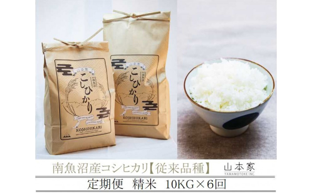 【令和8年産新米予約】【定期便】南魚沼産コシヒカリ【従来品種】精米10kg×6回 山本家【2026年10月上旬より1ヶ月以内に順次発送予定】
