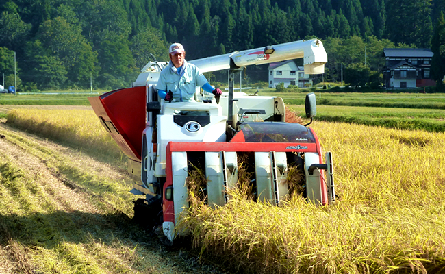 縲蝉サ、蜥7蟷エ逕」譁ー邀ウ莠育エ縲代仙ョ壽悄萓ソ縲鷹ュ壽イシ繝励Ξ繝溘い繝シ域怏讖溯ぇ譁吶∬セイ阮ャ荳堺スソ逕ィシ峨悟権縺御ス懊k縺薙□繧上j邀ウ縲咲イセ邀ウ10ス具ステ怜ィ3蝗槭2025蟷エ9譛井クュ譌ャ繧医j鬆谺。逋コ騾∽コ亥ョ壹