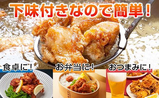 ES247 どでか味付けから揚げ うま塩味 500g×2パック 計1kg 大容量 唐揚げ からあげ から揚げ しお 塩 揚げ物 冷凍 惣菜 簡単 調理 肉 おかず 味付き 野崎フーズ 新潟県 南魚沼市