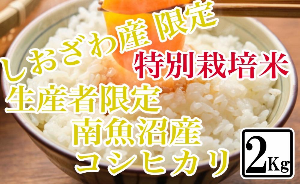 【令和7年産】【精米2kg】特別栽培 しおざわ産限定 生産者限定 南魚沼産コシヒカリ