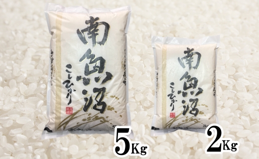 【定期便】生産者限定 契約栽培　南魚沼しおざわ産コシヒカリ（5Kg×12ヶ月）