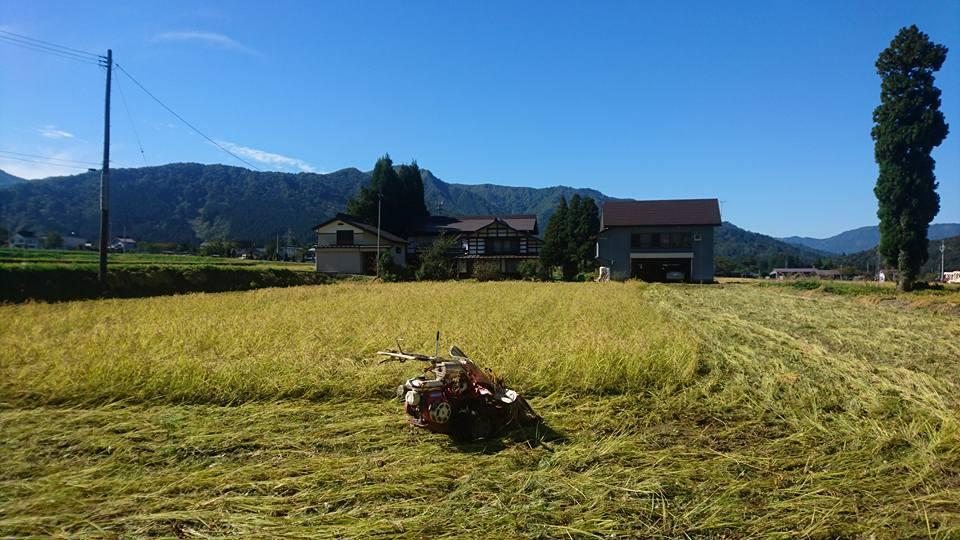 巻機山プリンセス農薬化学肥料不使用ネオニコフリー玄米1０kg 標高三百米