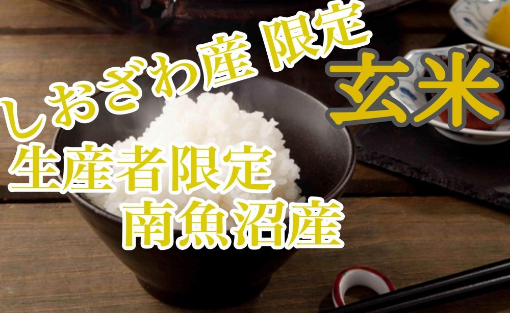 【定期便10kg×9ヶ月】玄米 しおざわ産限定 生産者限定 南魚沼産コシヒカリ