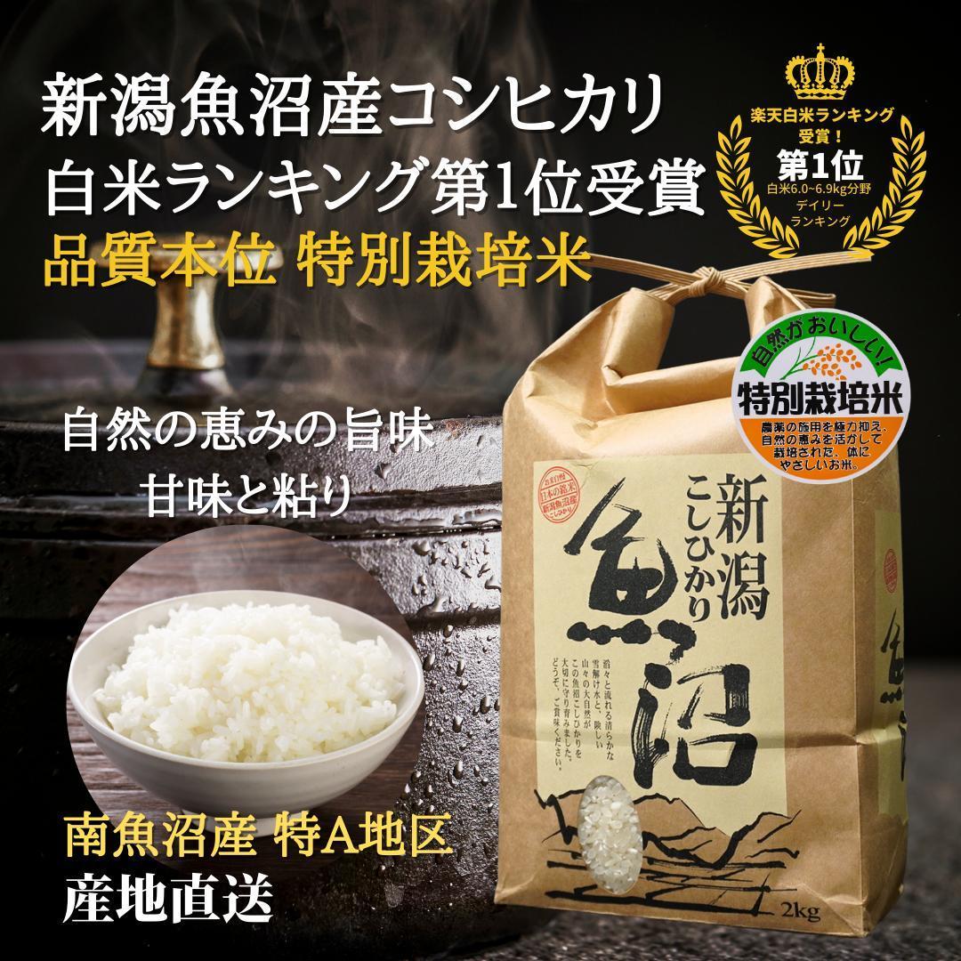 令和6年度産 新潟県南魚沼産コシヒカリ 特別栽培米 白米 6kg