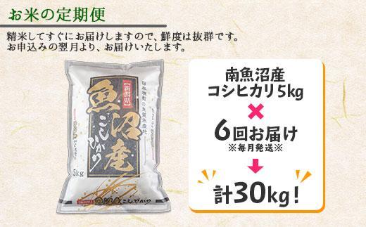 【令和7年産】【定期便】新潟県 南魚沼産 コシヒカリ お米 5kg×計6回 精米済み 半年 毎月発送 （お米の美味しい炊き方ガイド付き）