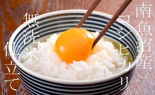 縲蝉サ、蜥7蟷エ逕」縲代千┌豢礼アウ6Kg縲大澄邊セ 蜊鈴ュ壽イシ逕」繧ウ繧キ繝偵き繝ェ