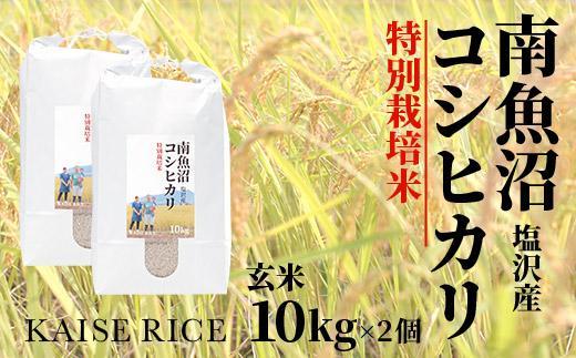 南魚沼産塩沢コシヒカリ【従来品種】（特別栽培米８割減農薬）玄米１０ｋｇ×２個