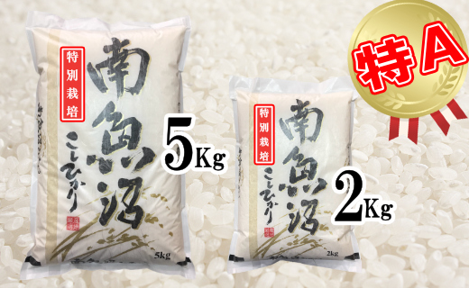 【定期便：2Kg×6ヶ月】特別栽培 生産者限定  南魚沼しおざわ産コシヒカリ